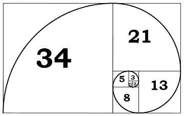 Hinh-xoắn-oc-Fibonacci